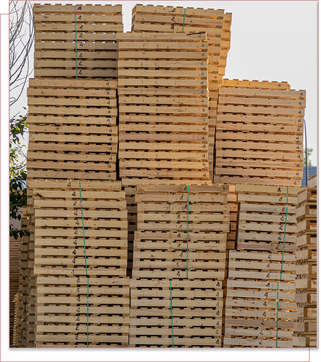 Plastic Pallets